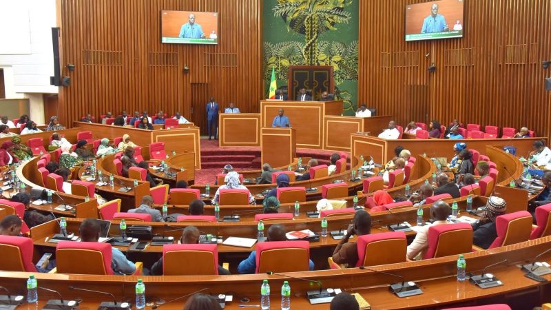 Assemblée nationale : ouverture de sa première session extraordinaire de l’année 2026