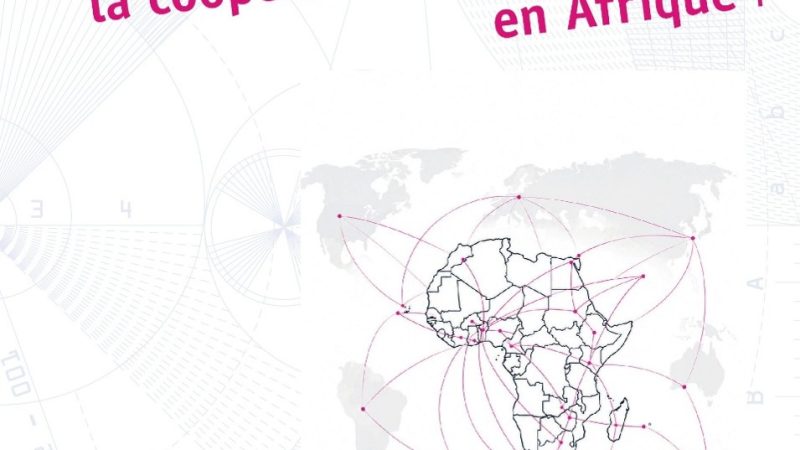 L’art de gérer la coopération universitaire en Afrique de Souaïbou Farougou