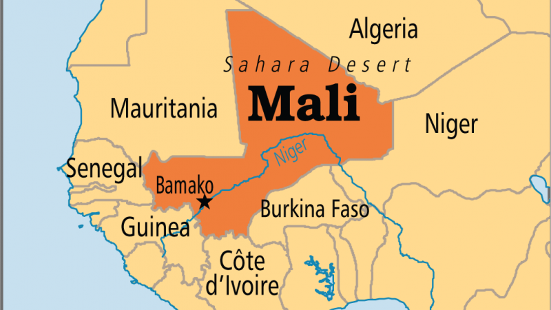 Le Mali dans une zone de turbulence- Alpha Amadou Sy-Philosophe/ Écrivain-Président de la CACSEN