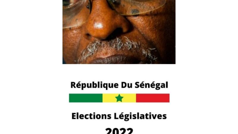 Sénégal, législatives 2022 :  Le pôle oppositionnel et ses enjeux dans le jeu démocratique-  Alpha Amadou SY   Philosophe/ Écrivain