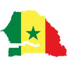Sénégal : De la rue aux urnes ou radioscopie des législatives de juillet 2022 -par le Pr Alpha SY écrivain Philosophe