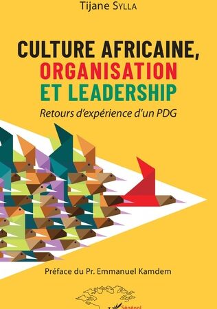 CULTURE AFRICAINE, ORGANISATION ET LEADERSHIP-Retours d’expérience d’un PDG-Tijane Sylla