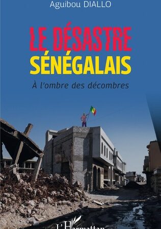 LE DÉSASTRE SÉNÉGALAIS-A l’ombre des décombres-Aguibou Diallo