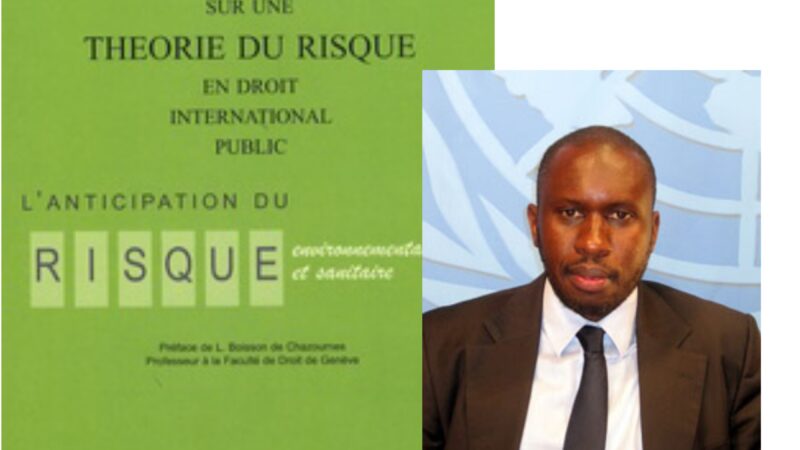 Essai sur une théorie du risque en droit international public – L’anticipation du risque environnemental et sanitaire – PR Makane Moïse Mbengue