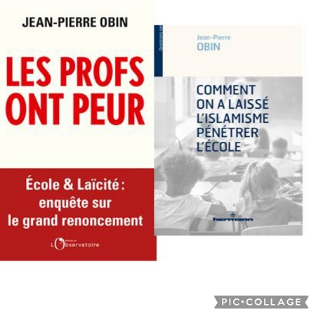 Jean-Pierre Obin (Auteur) Les profs ont peur