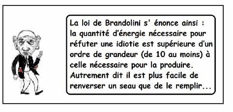 La loi de Brandolini s’énonce de la façon suivante : « La quantité d’énergie nécessaire pour réfuter du baratin est beaucoup plus importante que celle qui a permis de le créer ».