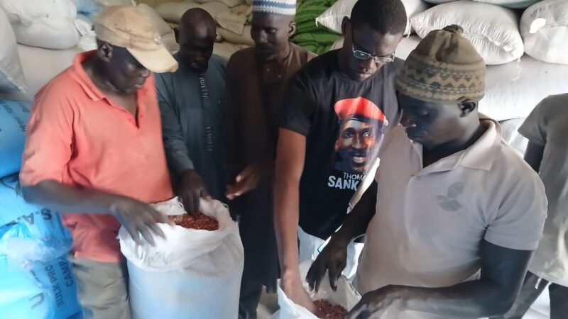 Kaffrine : 394 producteurs de Kahi privés de semences