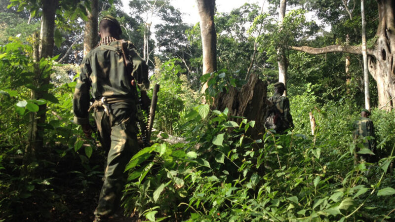 RDC: face à des négociations qui piétinent, les combats se durcissent entre Kinshasa et l’AFC/M23