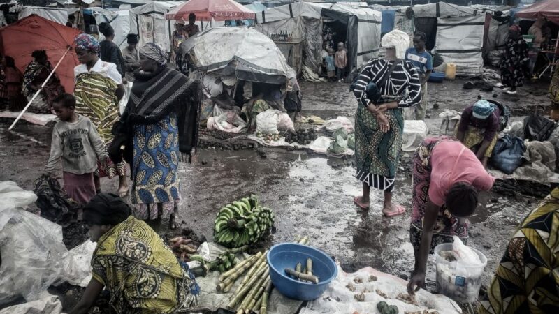 RDC: à Paris, une conférence de soutien à la paix dans la région des Grands Lacs