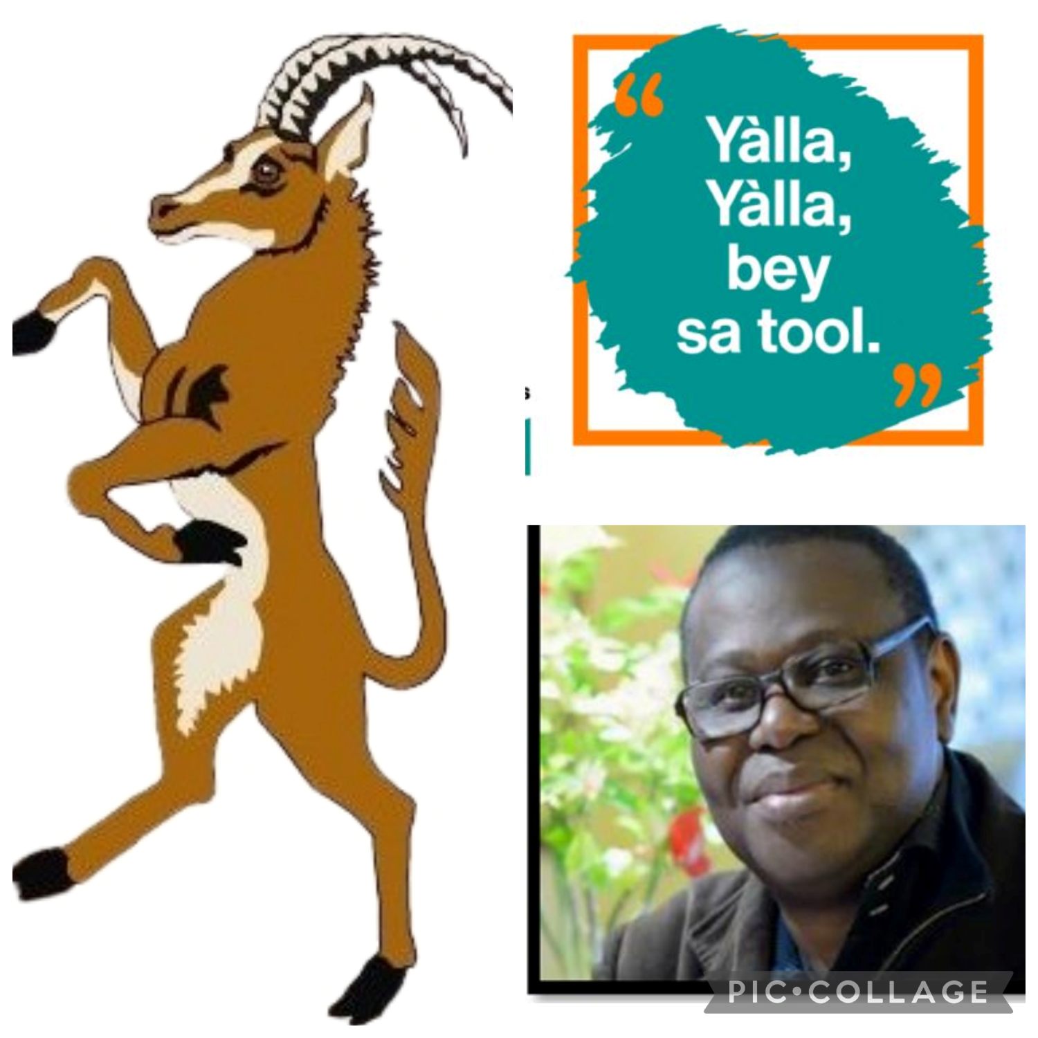 Sa Ndiogou ou l’oralité comme capital symbolique et critique.  Par Mahamadou Lamine Sagna, Sociologue, Enseignant WPI Etats Unis