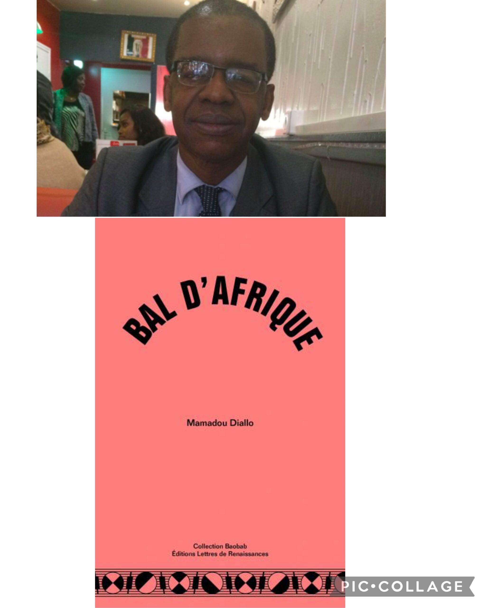 BAL D’AFRIQUE DE MAMADOU DIALLO OU UN ART LITTÉRAIRE À L’ŒUVRE