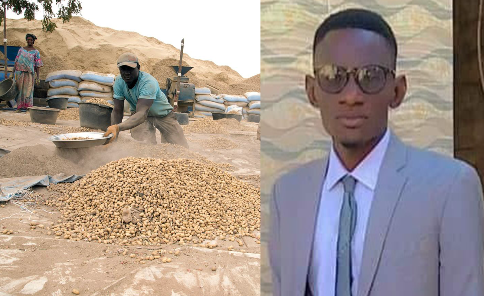 L’arachide à l’épreuve du temps politique