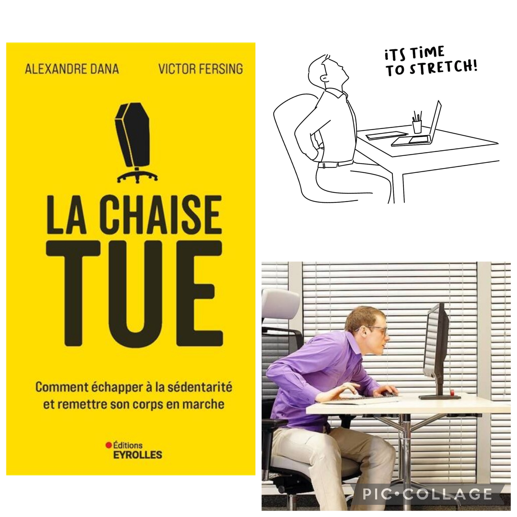 La Chaise tue -Comment échapper à la sédentarité et remettre son corps en marche -Alexandre Dana    