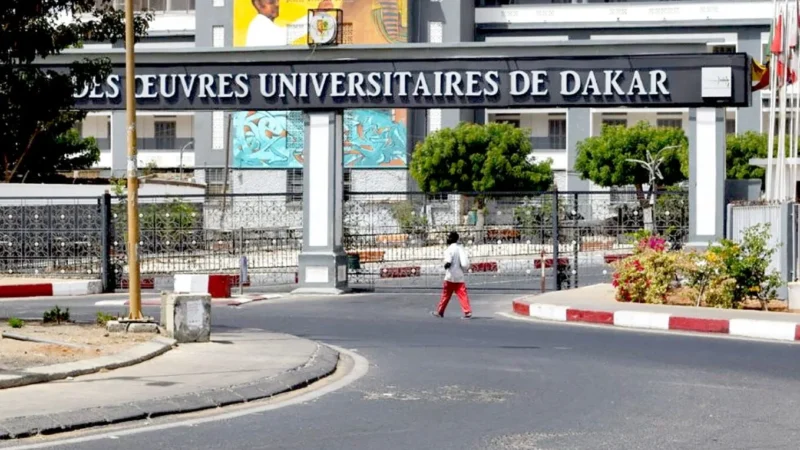 Le front universitaire : la Fnes entre en guerre contre la réforme des bourses