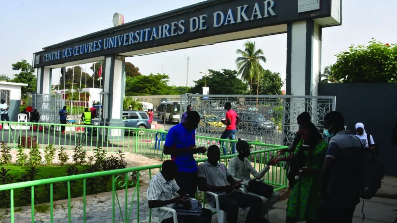 Grèves, bourses en retard, diplômes déconnectés du marché : quel avenir pour l&rsquo;étudiant sénégalais ?