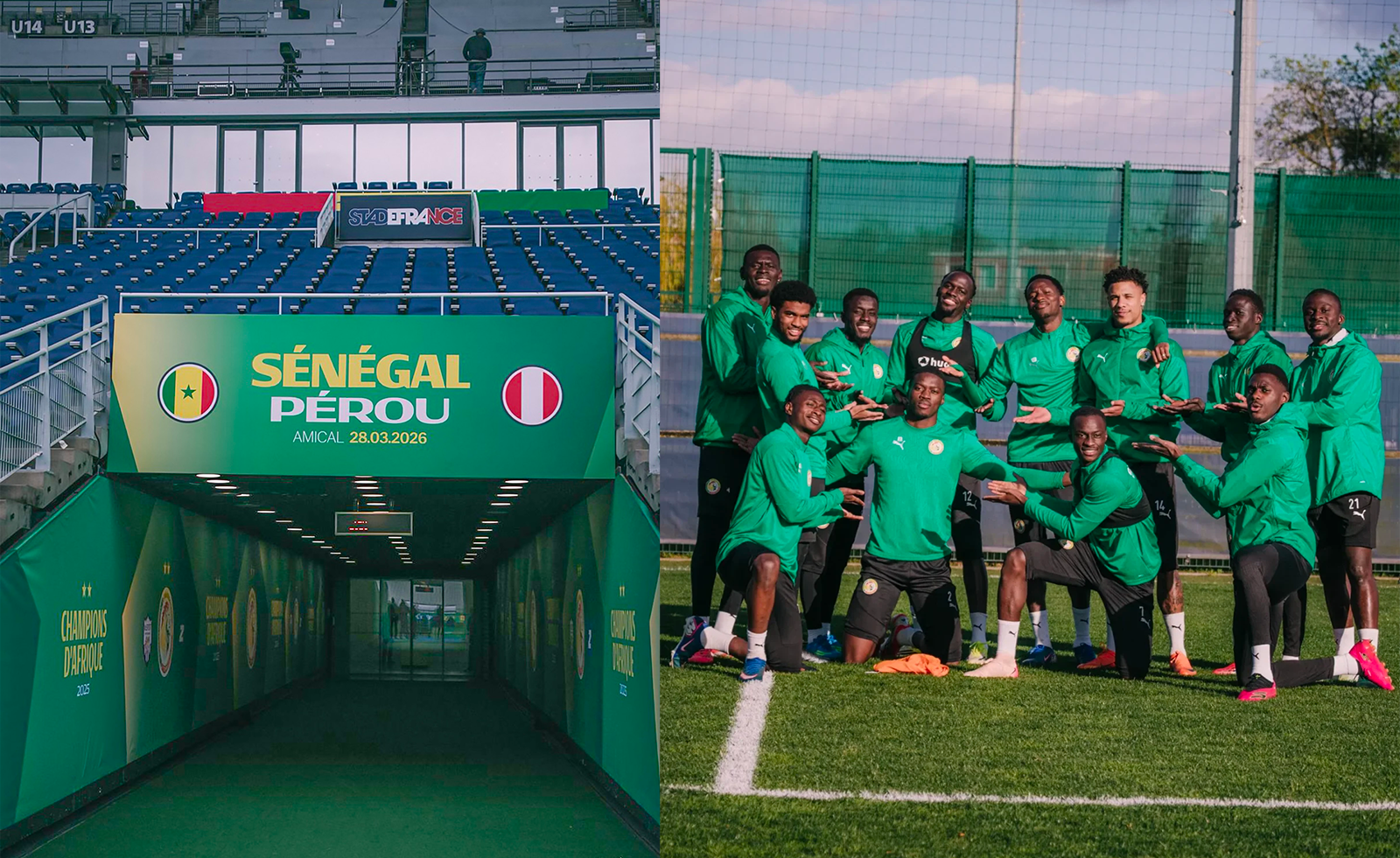 Après deux semaines de bataille suite à la décision du Jury d’appel de la Caf : les Lions effectuent leur grand retour ce samedi