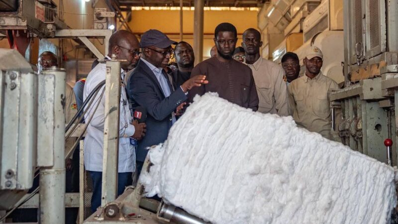 Vélingara – Visite présidentielle à l’unité agro-industrielle de la Sodefitex